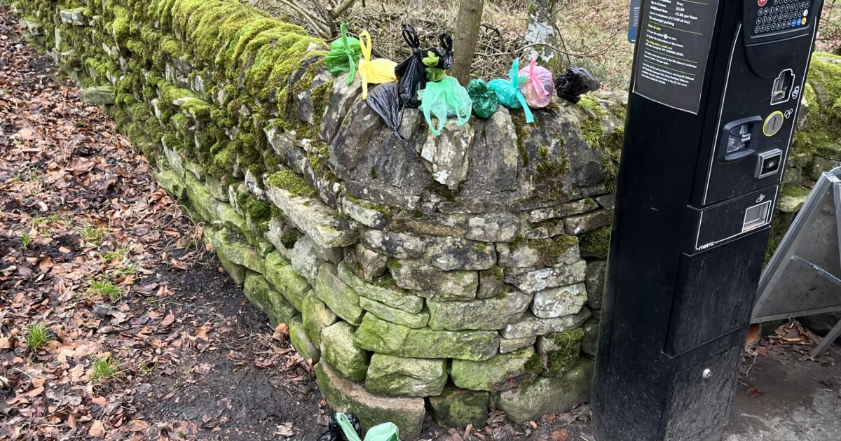 Dog owners slammed for stuffing poo bags into Hadrian's Wall