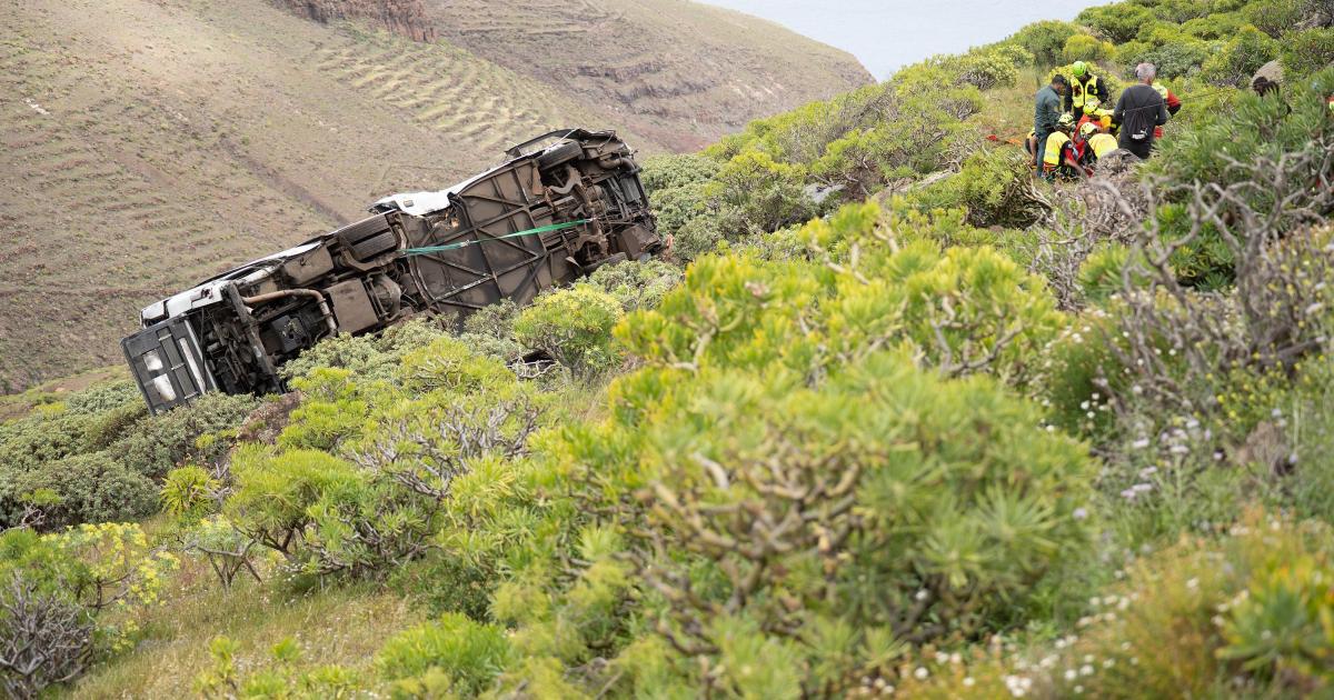 Man dead and Brit tourists hurt in Canary Islands crash