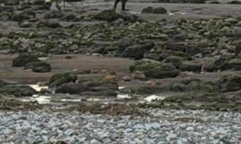 Two rescued from quicksand at Bolton-le-Sands beach