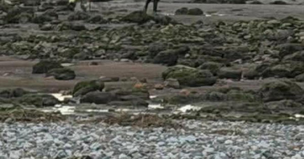 Two rescued from quicksand at Bolton-le-Sands beach