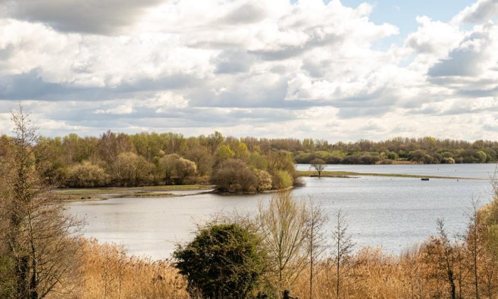 The stunningPennington Flash walk worth giving a go this spring