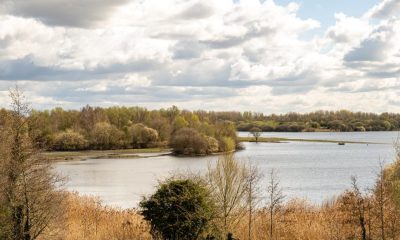The stunningPennington Flash walk worth giving a go this spring