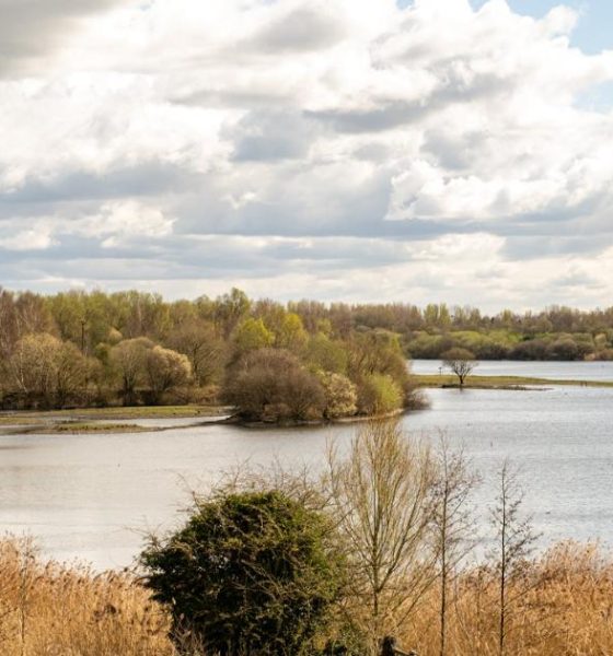 The stunningPennington Flash walk worth giving a go this spring
