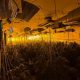 Arrests made as police find 663 cannabis plants in Radcliffe