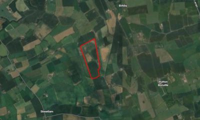 North Yorkshire Council approves solar farm near East Cowton