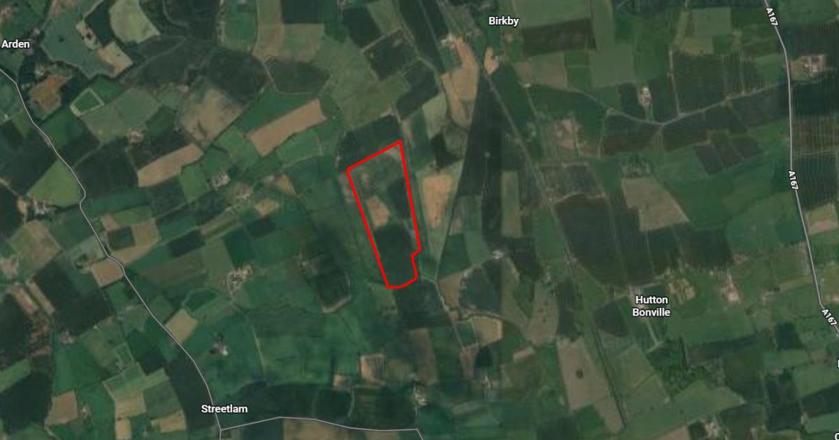 North Yorkshire Council approves solar farm near East Cowton