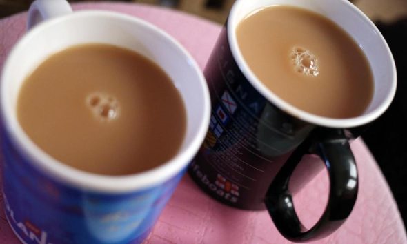 No fancy, noisy machines - a tea bag is all you need