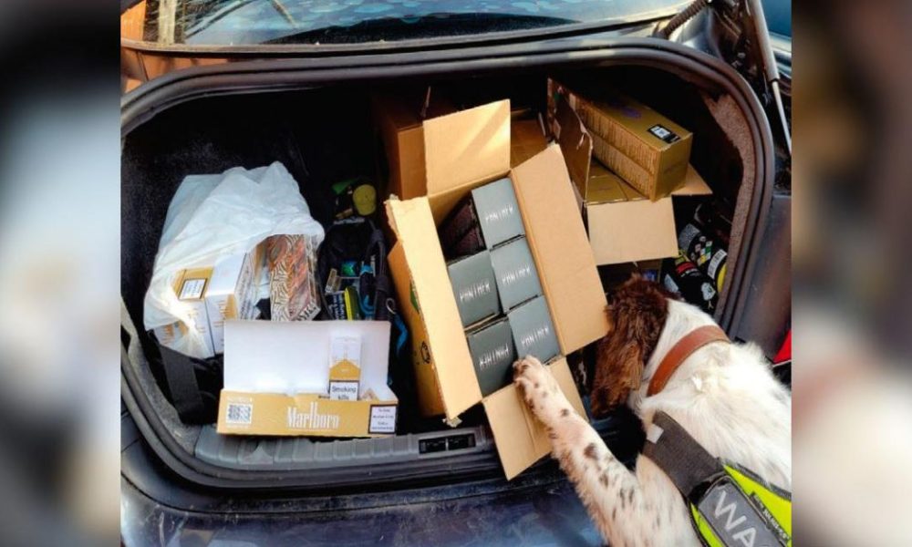 Ted’s Convenience Store on Derby Street in danger of losing licence