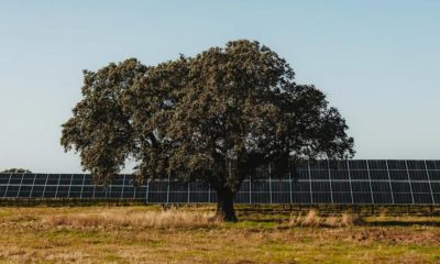 Major solar farm planned for land in East Yorkshire