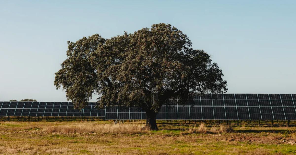 Major solar farm planned for land in East Yorkshire