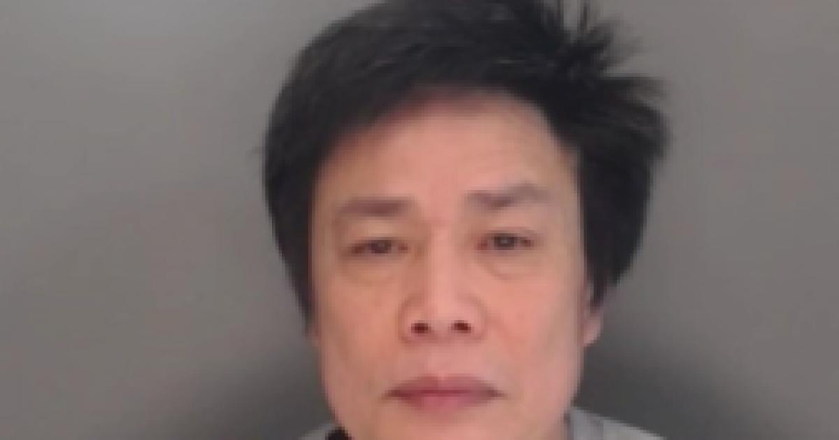 Cannabis farmer could be deported after Willington drugs farm raided