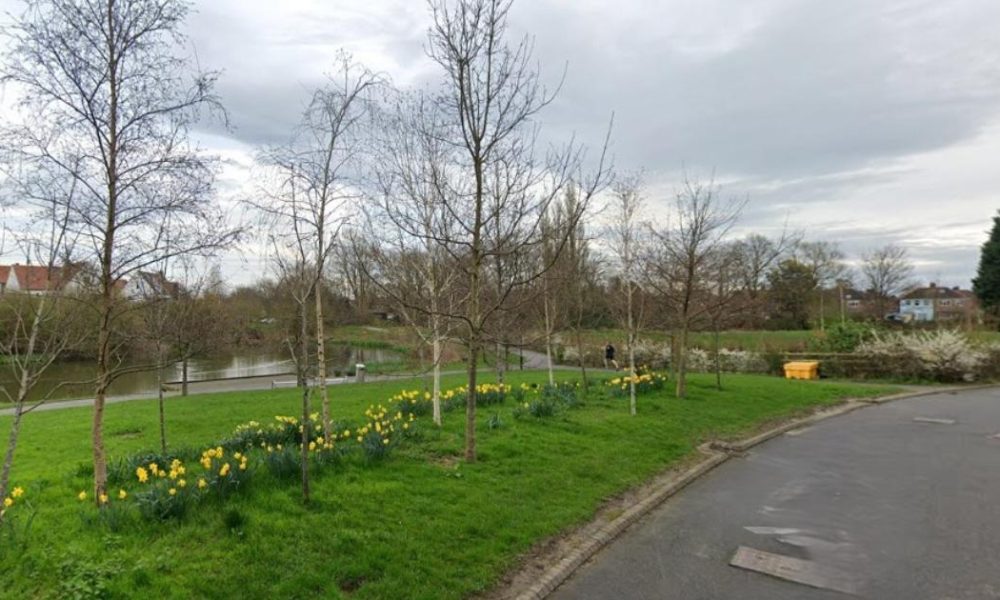 York - attempt at sparking a fire found at Derwenthorpe pond