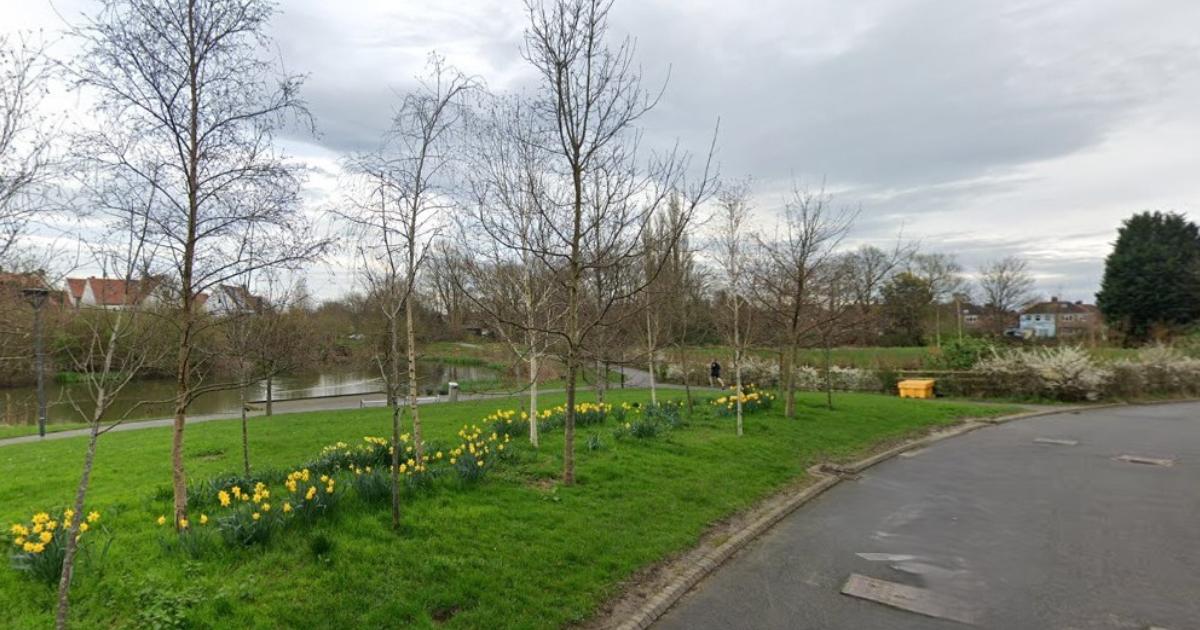 York - attempt at sparking a fire found at Derwenthorpe pond
