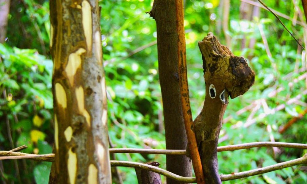 Friends of the Earth launch project in East Yorkshire