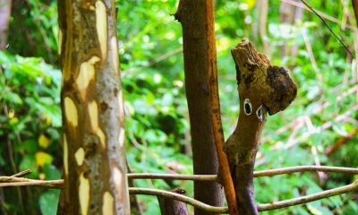 Friends of the Earth launch project in East Yorkshire