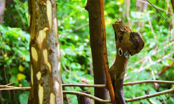 Friends of the Earth launch project in East Yorkshire