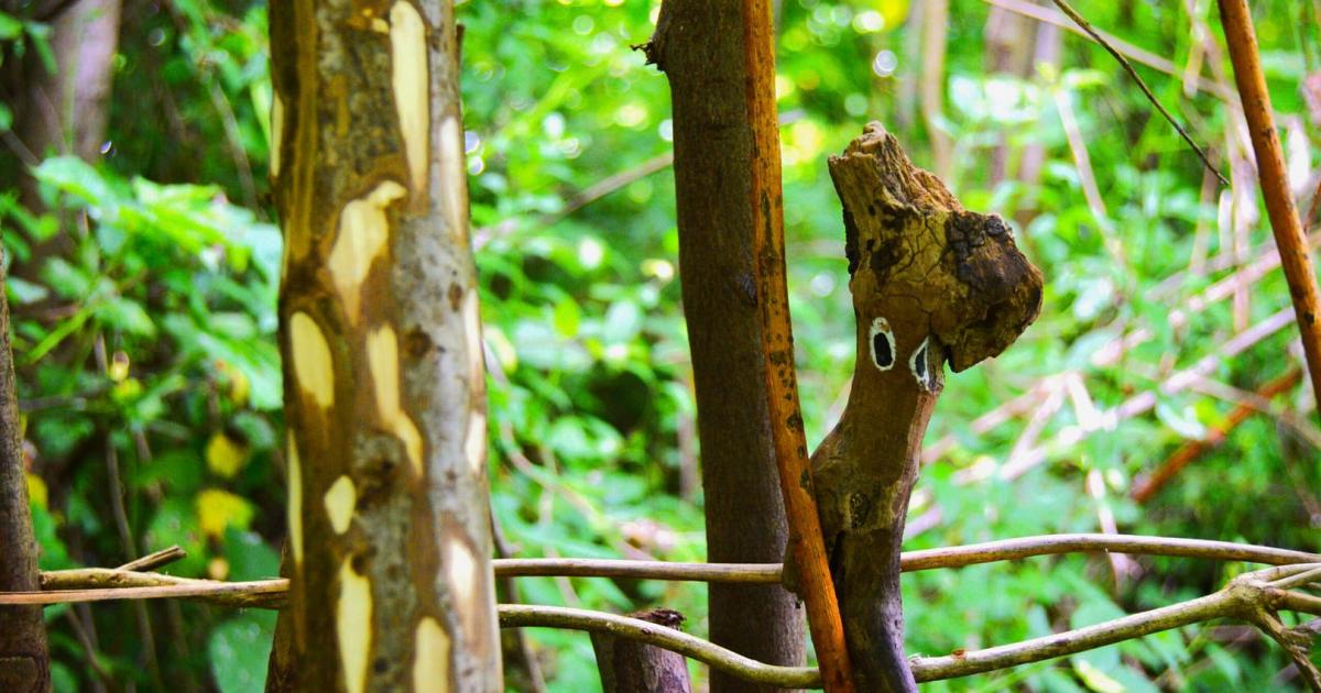 Friends of the Earth launch project in East Yorkshire