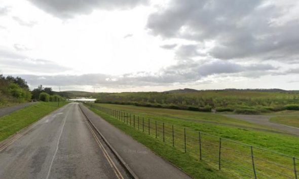 Girl lured boy to Herrington Country Park, where he was then stabbed