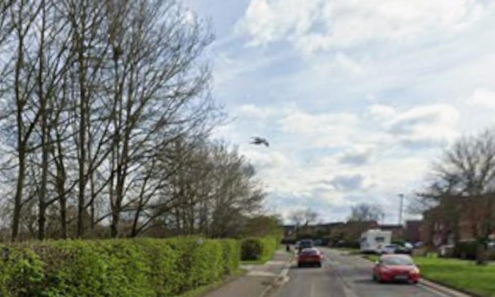 Police looking for man after incident with cocker spaniel