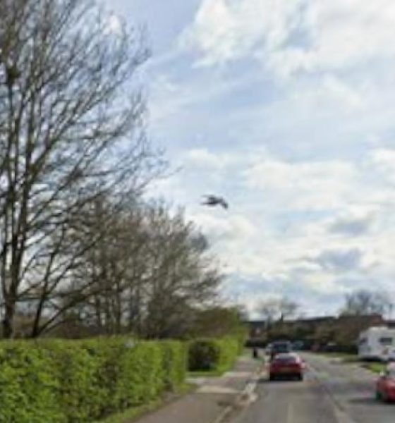 Police looking for man after incident with cocker spaniel