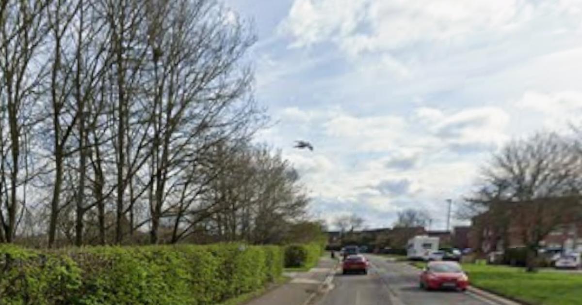 Police looking for man after incident with cocker spaniel