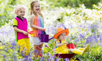 10 National Trust sites free to enter and some offer free parking