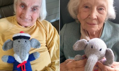 Saltburn ‘Knitting Nannas’ raise funds for Indian elephants
