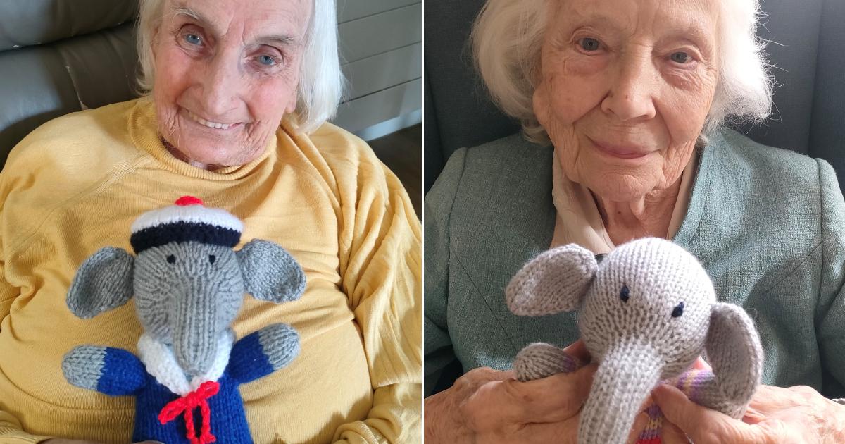 Saltburn ‘Knitting Nannas’ raise funds for Indian elephants