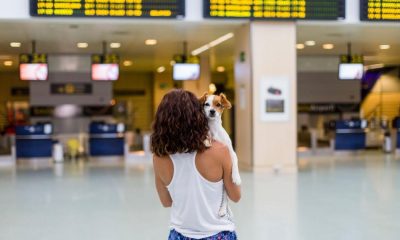 UK holidaymakers warned over new EU pet travel rules