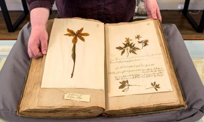 Rare botanical collection on display at Burton Constable