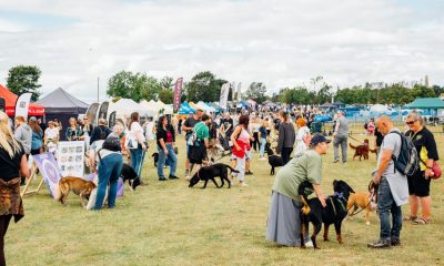 North East Dog Festival back at Kirkley Hall, Northumberland