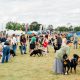 North East Dog Festival back at Kirkley Hall, Northumberland