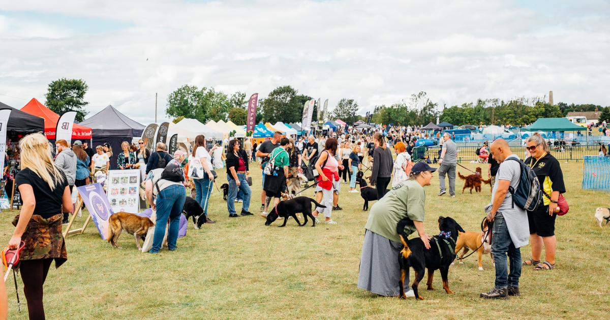 North East Dog Festival back at Kirkley Hall, Northumberland