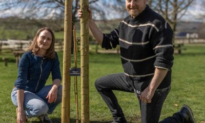 All Creatures stars plant Sycamore Gap sapling in Yorkshire Dales
