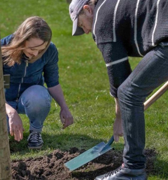 All Creatures Great and Small stars plant Sycamore gap sapling