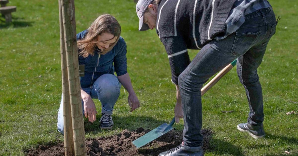All Creatures Great and Small stars plant Sycamore gap sapling