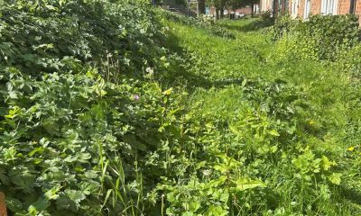 York man hits out at council over 'eyesore' communal gardens