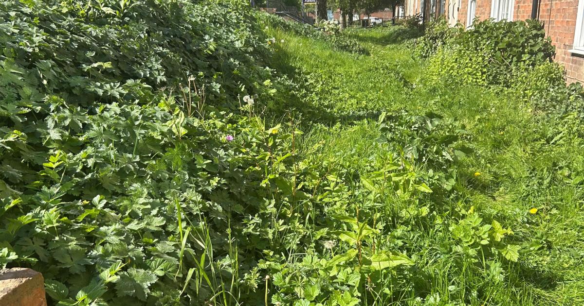 York man hits out at council over 'eyesore' communal gardens