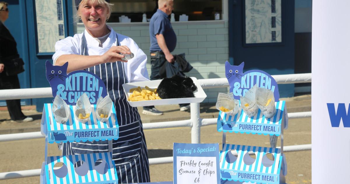 PETA 'Kitten' protest in the fish and chip capital of Whitby