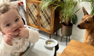 Teacher had ‘harmful thoughts’ as Preston Davey murder trial continues