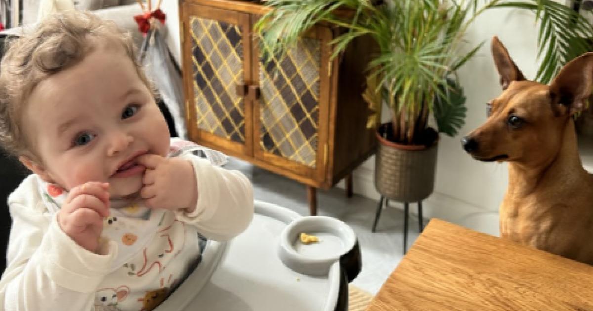 Teacher had ‘harmful thoughts’ as Preston Davey murder trial continues