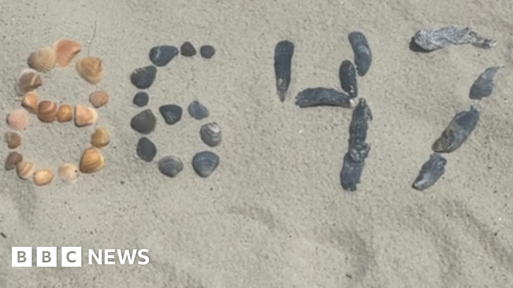 Some experts skeptical of second Comey indictment over seashell post