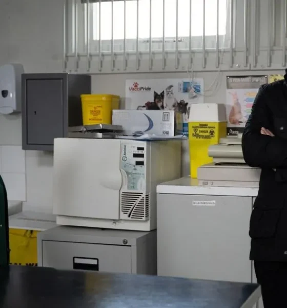 Emmerdale resident spots Rhona and Graham's connection and it's not Marlon | Soaps