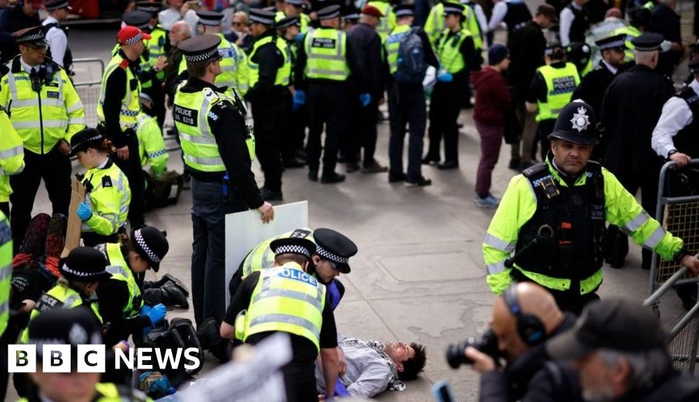 More than 500 arrests at Palestine Action demonstration