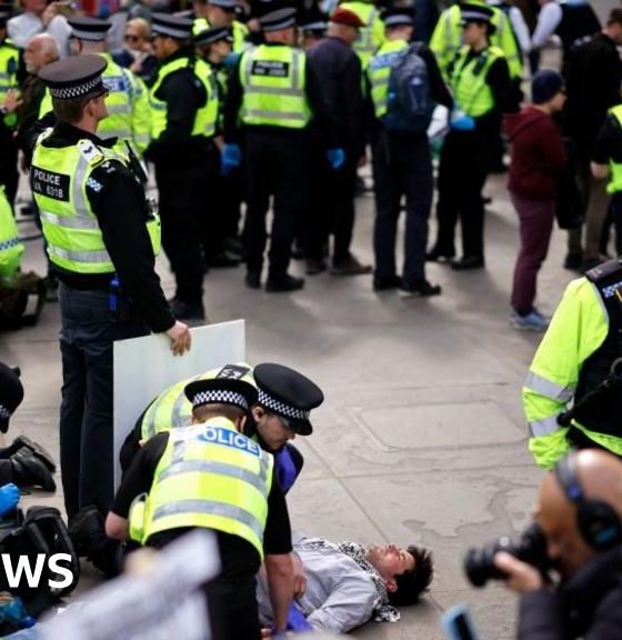 More than 500 arrests at Palestine Action demonstration