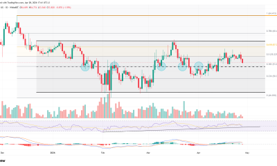 3 Altcoins Could Hit New All-Time Highs in May 2026