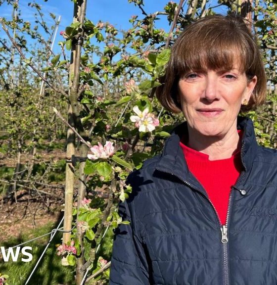 'Even if Iran war ends now farmers costs will have to be passed on'