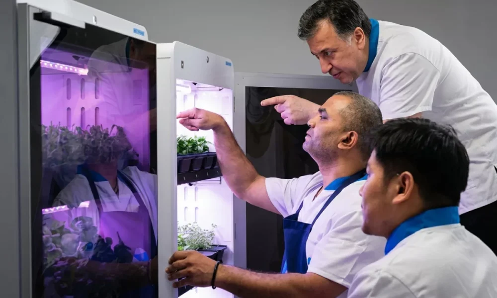 An AI-powered harvest