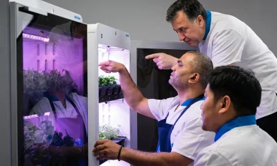 An AI-powered harvest