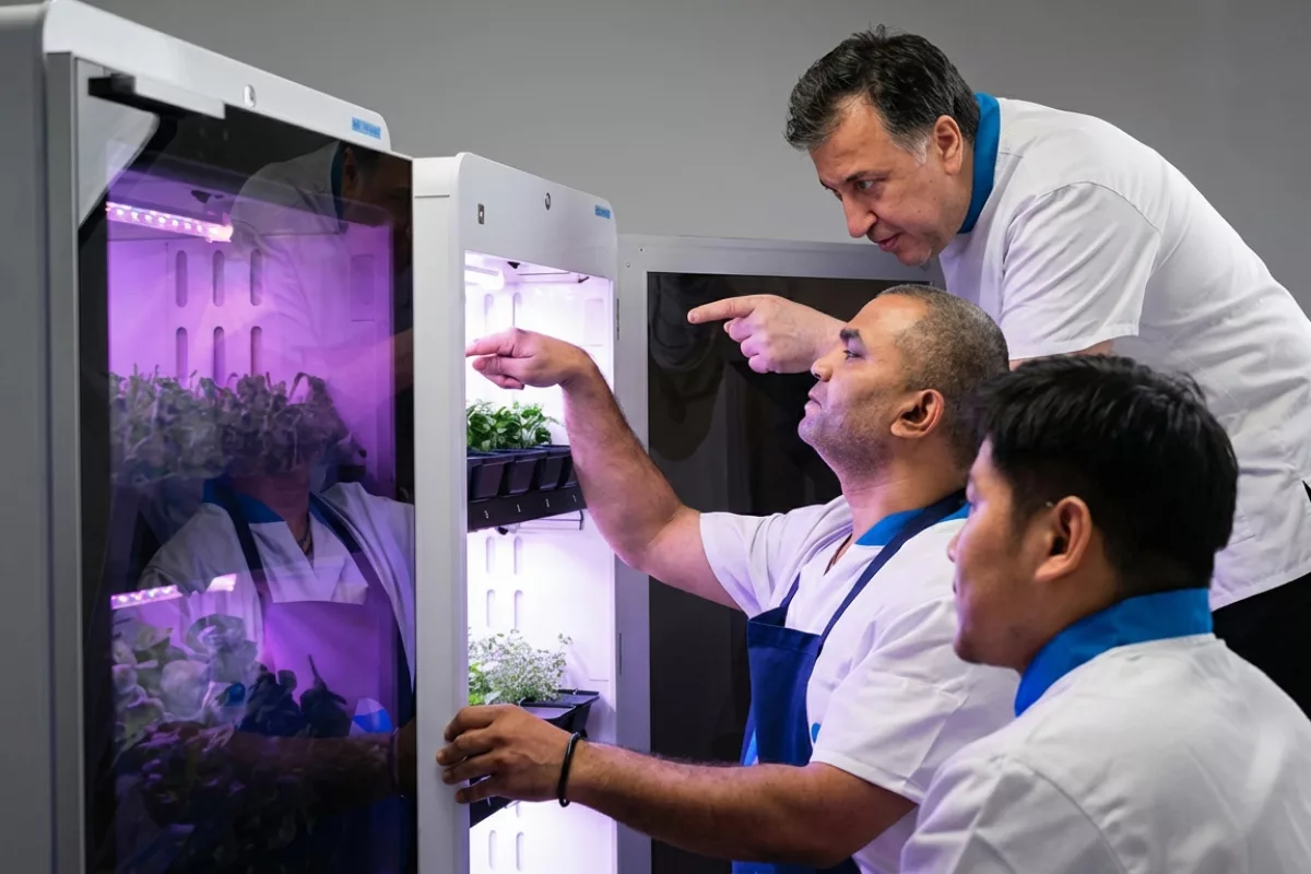 An AI-powered harvest